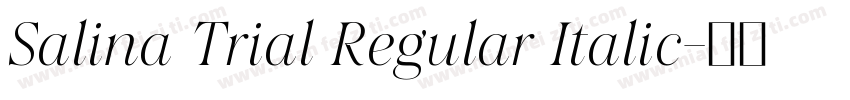 Salina Trial Regular Italic字体转换